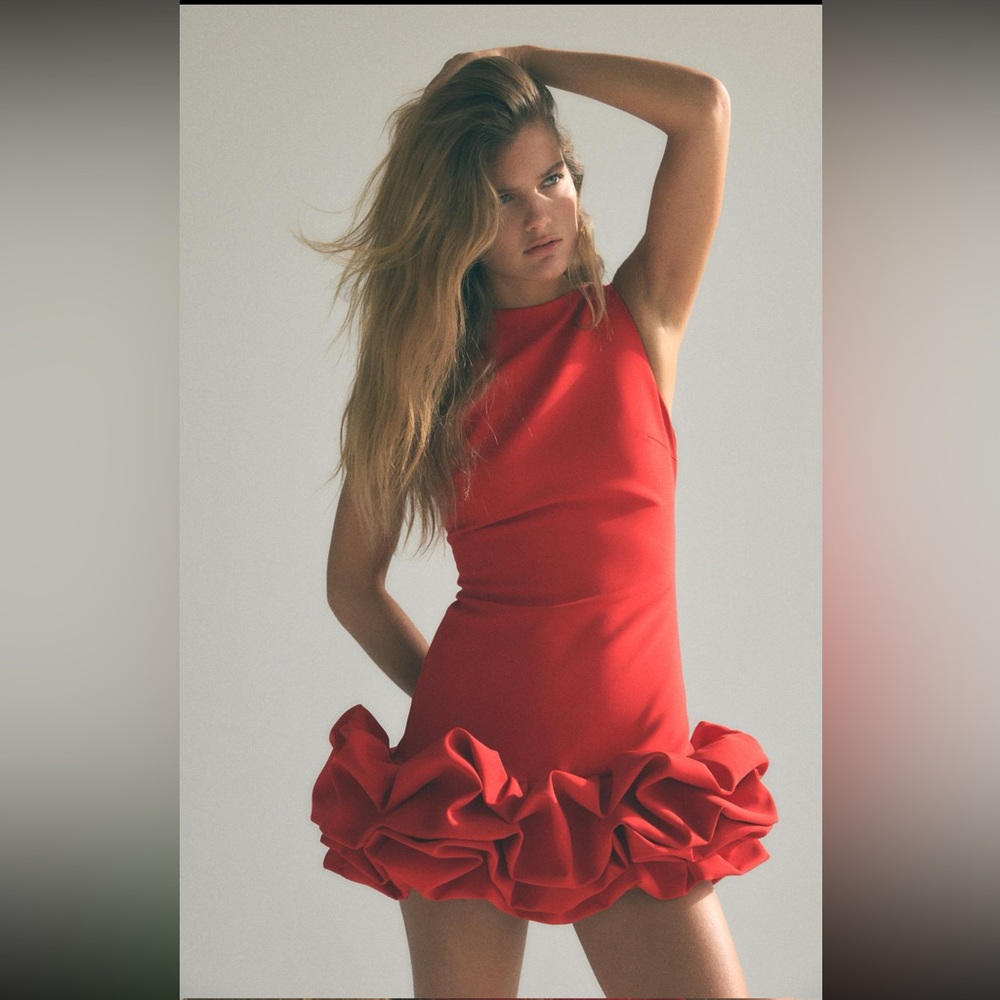 ZARA Red Dress